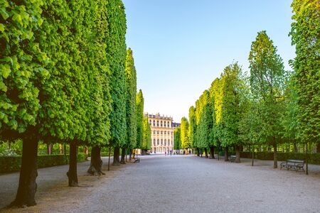 VIENNA, AUSTRIA - CIRCA APRIL 2016: Beautiful alley in Schonbrunn gardens in Vienna. Schonbrunn gardens are one of the most important architectural and historical places in Austriaのeditorial素材