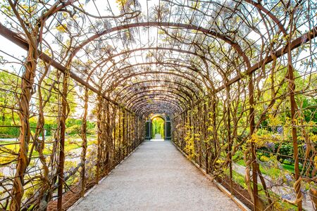VIENNA, AUSTRIA - CIRCA APRIL 2016: Beautiful pergola in Schonbrunn gardens in Vienna. Schonbrunn gardens are one of the most important architectural and historical places in Austriaのeditorial素材
