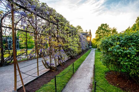 VIENNA, AUSTRIA - CIRCA APRIL 2016: Beautiful pergola in Schonbrunn gardens in Vienna. Schonbrunn gardens are one of the most important architectural and historical places in Austriaのeditorial素材