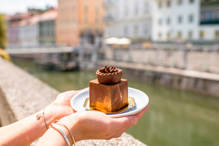 Female hands holding traditional slovenian cake in the form of castle tower with the old city center...