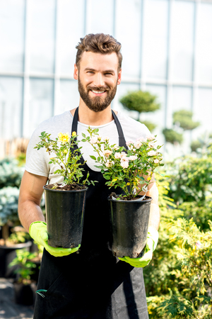 Portrait of a handsome gardener in apron and working gloves holding pots with flowers in the greenhouse. Plant seller taking care of flowers in the shopの写真素材