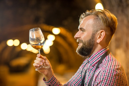 Handsome bearded blond sommelier looking at wine glass in the old cellar.の写真素材