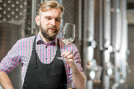 Handsome wine maker in working apron checking wine quality at the manufacturing with metal tanks for wine fermentation. Wine production at the modern manufactureの写真素材