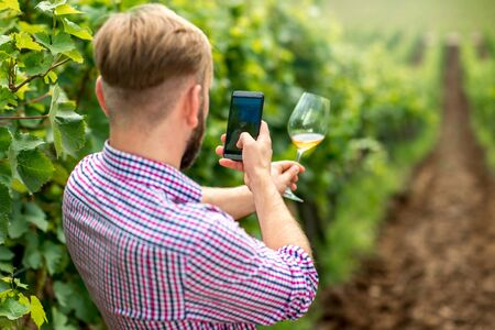 Wine maker or vinery owner photographing glass of wine on the vineyard. Promoting wine in social networksの写真素材