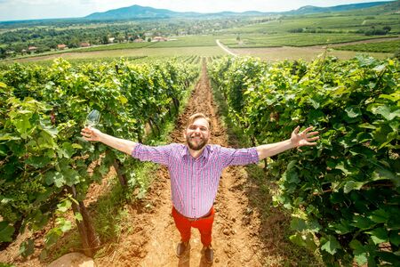 Portrait of happy winery owner raising hands with wine glass on the vineyard. Top view with landscape viewの写真素材