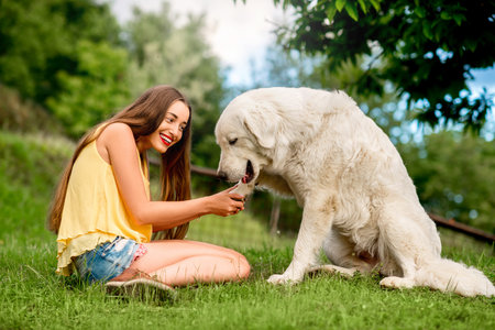 Young and happy woman playing with Maremma italian sheepdog on the lawn in the countryside in...