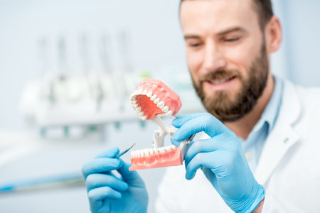 Dentist with artificial jaw
