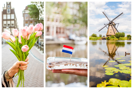 Collage with different symbols of Netherlands, tulips, herring and windmillの写真素材