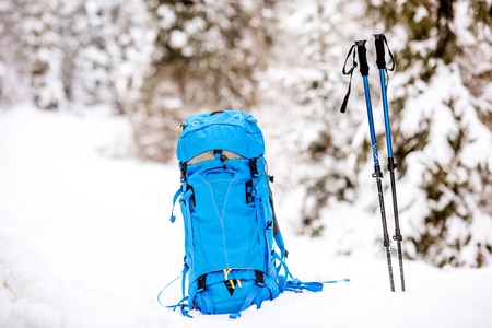 Blue backpack and tracking sticks at the snowy fir forest. Winter hiking conceptの写真素材