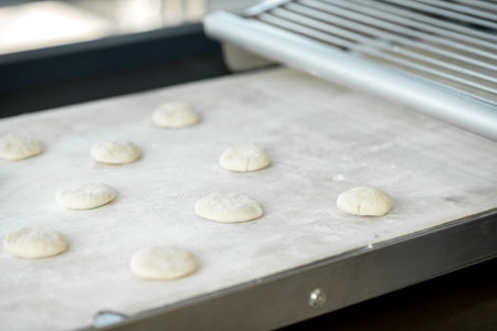 Raw dough on the professional rolling machine at the manufacturing