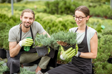 Young couple of workers in uniform taking care of plants at the greenhouse of the plant shopの写真素材