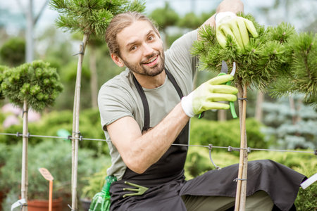 Man in uniform pruning ornamental trees working in the greenhouse