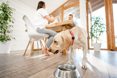 Dog eating from the bowl in the dining room with young couple on the background in the country...