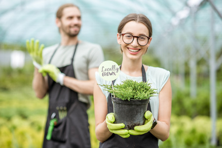 Young woman gardener holding conifer bush with green plates in the greenhouse with man on the backgroundの写真素材
