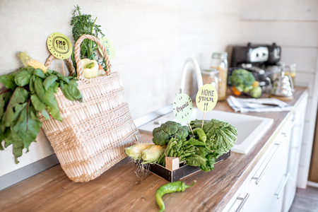Green healthy food brought from the eco market or own garden on the kitchen tableの写真素材