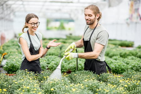 Young couple of workers in uniform taking care of flowers at the greenhouse of the plant shopの写真素材