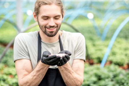 Farmer holding mineral fertilizers in the glasshouse with green plantation on the backgroundの写真素材