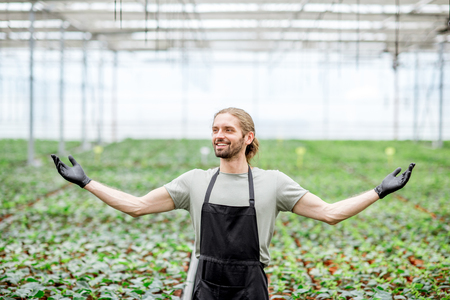 Portrait of the happy owner with raised hands standing in the greenhouse of plant plantationの写真素材