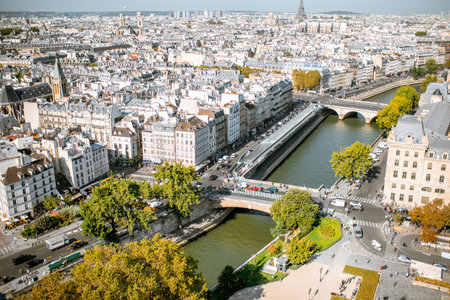 Aerial panoramic view of Paris from the Notre-Dame cathedral during the morning light in France