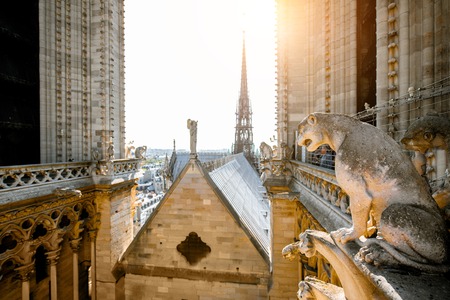 Notre-Dame cathedral on the top with gargoyle sculptures in Parisの写真素材