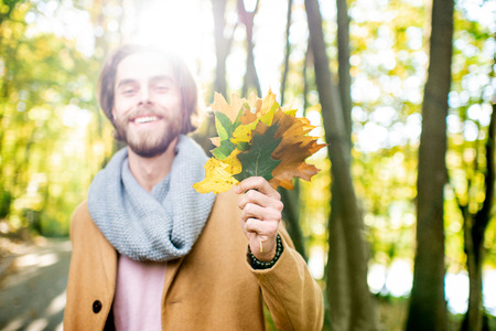 Autumn portrait of a handsome man with beautiful green and yellow leaves in the forestの写真素材