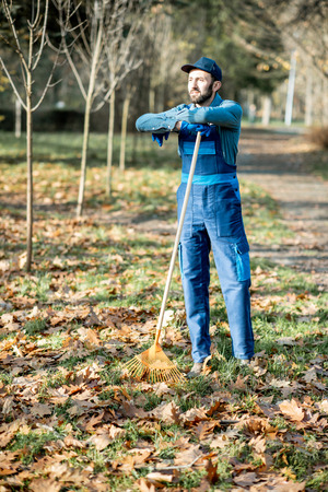Portrait of a professional male sweeper in blue uniform raking leaves in the garden during the autumn timeの写真素材