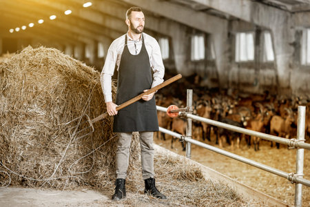 Handsome farmer in apron working with hay in the stable at the goat farmの写真素材