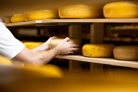 Worker taking cheese wheel at the storage during the cheese aging process. Close-up view with no faceの素材 [FY310113094893]