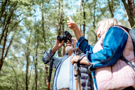 Senior couple looking with binoculars while hiking in the forest. Concept of an active lifestyle on retirementの写真素材