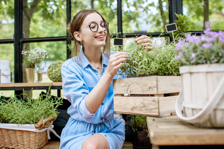 Portrait of a young woman carrying flower pot with lavender while taking care of plants in the beautiful greenhouseの写真素材