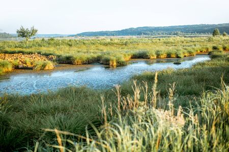 Beautiful landscape view on the lake during the morning lightの写真素材