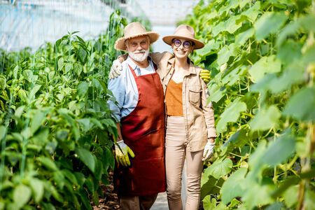 Portrait of a happy young woman with senior grandfather standing on a agricultural farm with cucumber plantation. Concept of a small family agribusinessの写真素材