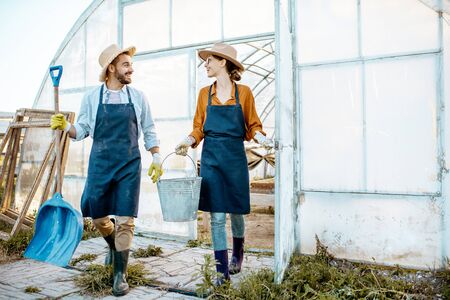 Two well-dressed farmers or agronomists walking with working tools on a farmland near the hothouse on the evening at sunsetの写真素材