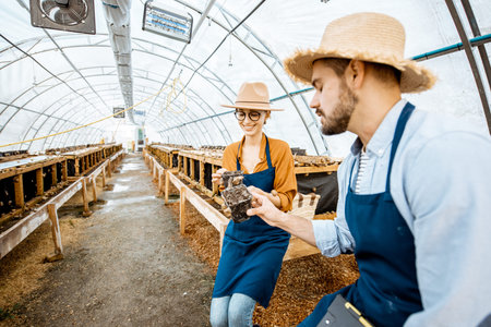 Two farmers examining snails growing process in the hothouse of the farm, wide angle view. Concept...