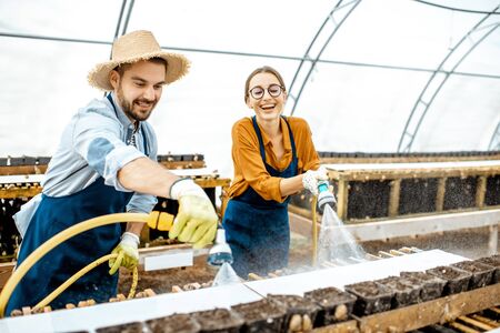 Man and woman working in the hothouse on a farm for growing snails, washing shelves with water gun. Concept of farming snails for eatingの写真素材