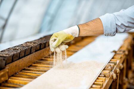 Worker feeding snails, powdering food on the special shelves in the hothouse of the farm, close-up view with no faceの写真素材