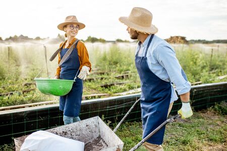 Two well-dressed farmers walking with pushcart and green busket on the farmland for growing snails. Concept of agribusiness and farmingの写真素材