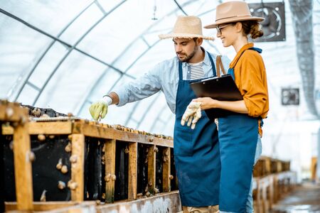 Two young beautifully dressed farmers examining snails growing process in the hothouse of the farm....
