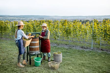 Senior man and young woman as winemakers squeezing grapes with press machine on the vineyard, getting fresh juice for wine productionの写真素材