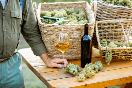 Wine on the table with baskets full of freshly picked up grapes on the vineyard