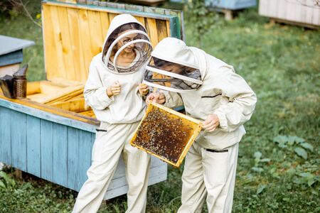 Two young beekepers in protective uniform working on a small apiary farm, getting honeycombs from the wooden beehiveの写真素材
