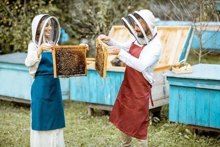 Beekeepers in protective hats and aprons working with honeycombs on the apiary with wooden beehives on the backgroundの写真素材