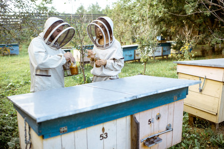 Two beekepers in protective uniform working on the apiary with wooden beehives outdoors