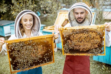 Beekeepers in protective hats and aprons working with honeycombs on the apiary with wooden beehives on the backgroundの写真素材