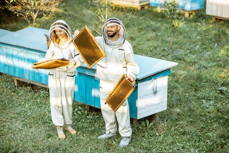 Two beekeepers in protective uniform examining honeycombs while working on a traditional apiary. Concept of beekeeping and small farmingの写真素材
