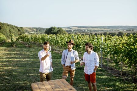 Three guys dressed casually tasting wine while spending time together on the vineyard on a sunny summer morningの写真素材