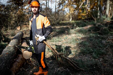 Portrait of a professional lumberjack in protective workwear carrying tree branches while logging in the pine forestの写真素材