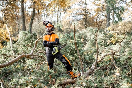 Full length portrait of a professional lumberman in protective workwear logging with chainsaw in the pine forestの写真素材