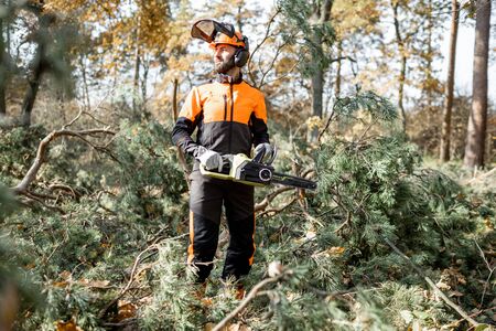 Full length portrait of a professional lumberman in protective workwear logging with chainsaw in the pine forestの写真素材