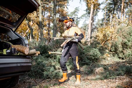 Professional lumberman in protective clothes carrying woods into his car trunk, making logging in the pine forestの写真素材